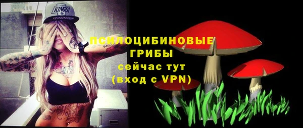 герыч Инсар