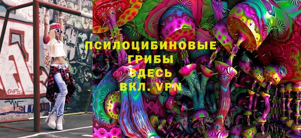 a pvp Инта