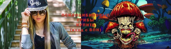 a pvp Инта