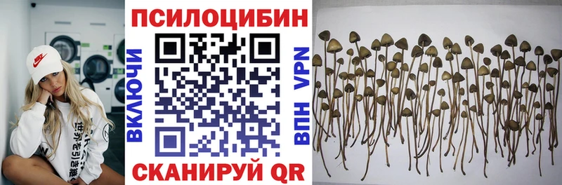 Купить где  Усинск  Псилоцибиновые грибы Psilocybine cubensis 